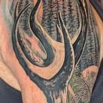 Tattoos - Wilderness Sleeve - 143753